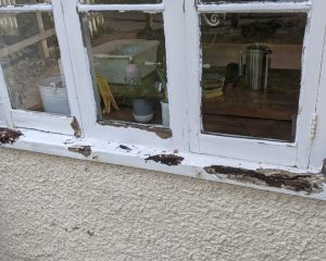 Window & Door Repairs in Petersfield