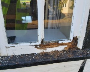 Sash Window Repairs in Hampshire