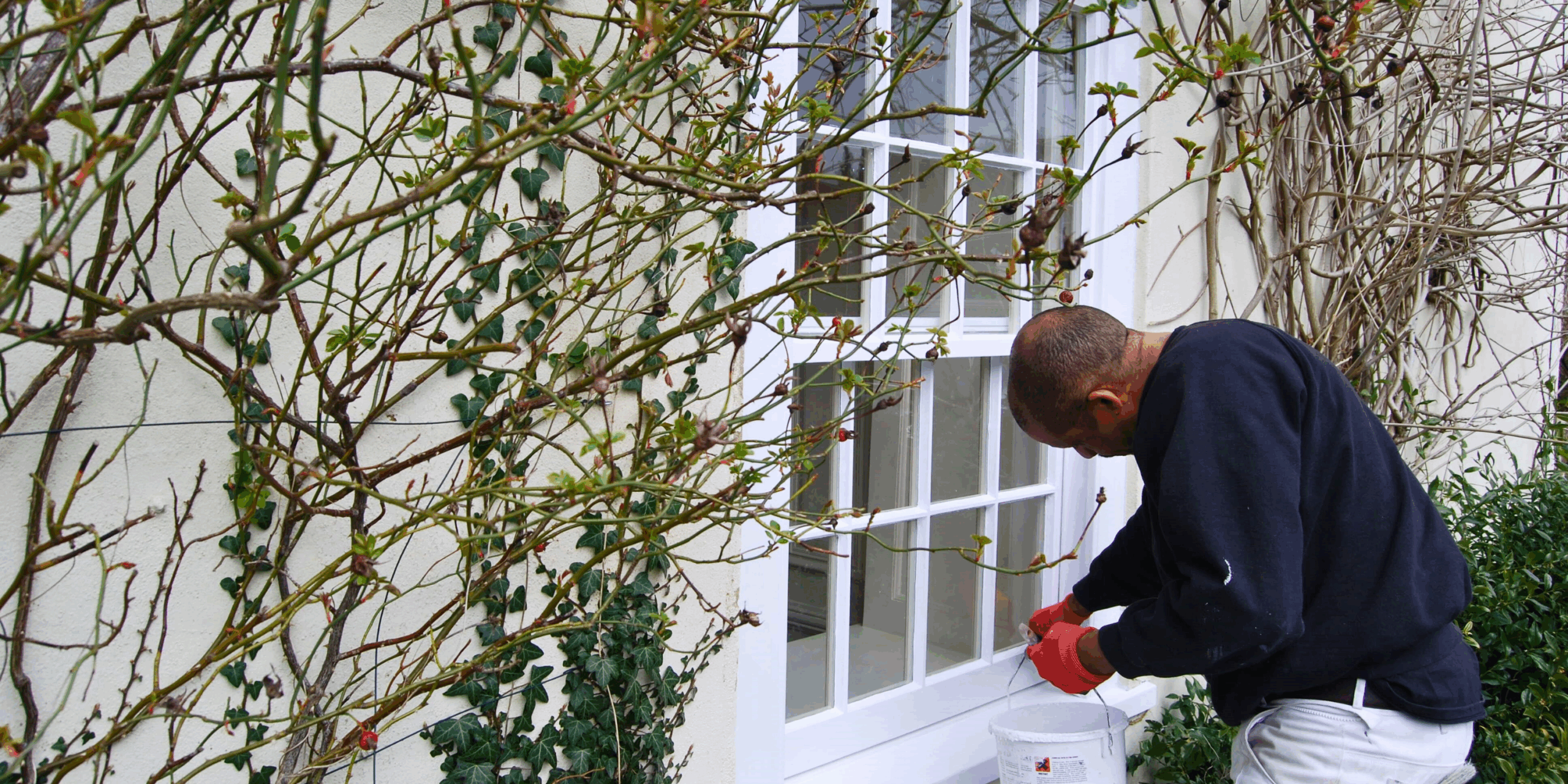 Interior & Exterior Painting